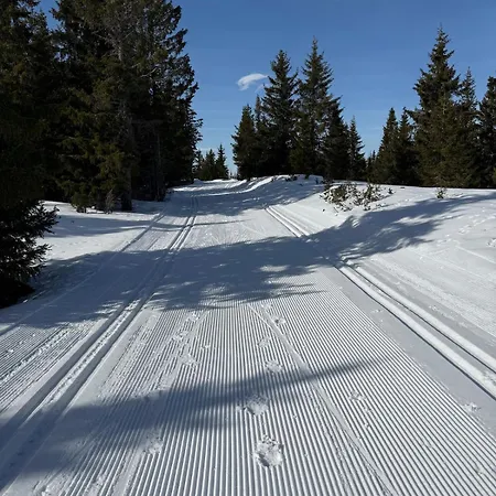 Domek alpejski Nordic Gateway Logde Hafjell