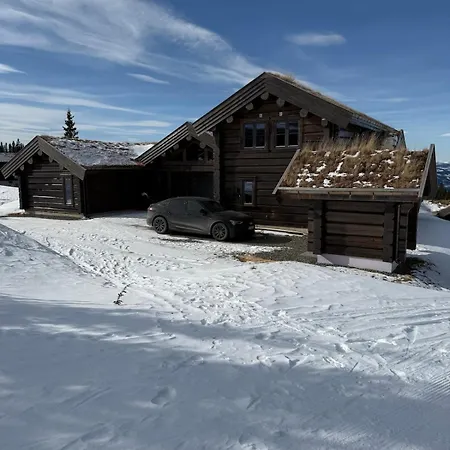 Chaleter Nordic Gateway Logde *