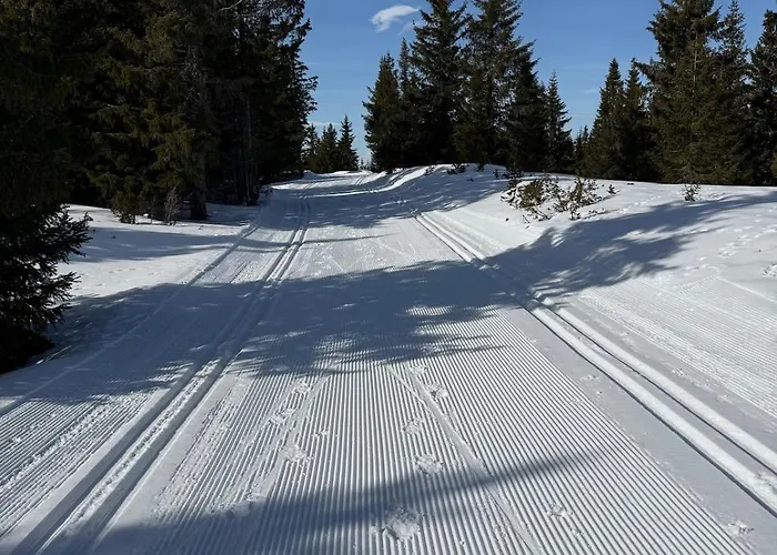 Domek alpejski Nordic Gateway Logde Hafjell